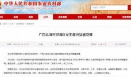 贵港市头条新闻爆料事件,最新爆料揭示惊人真相